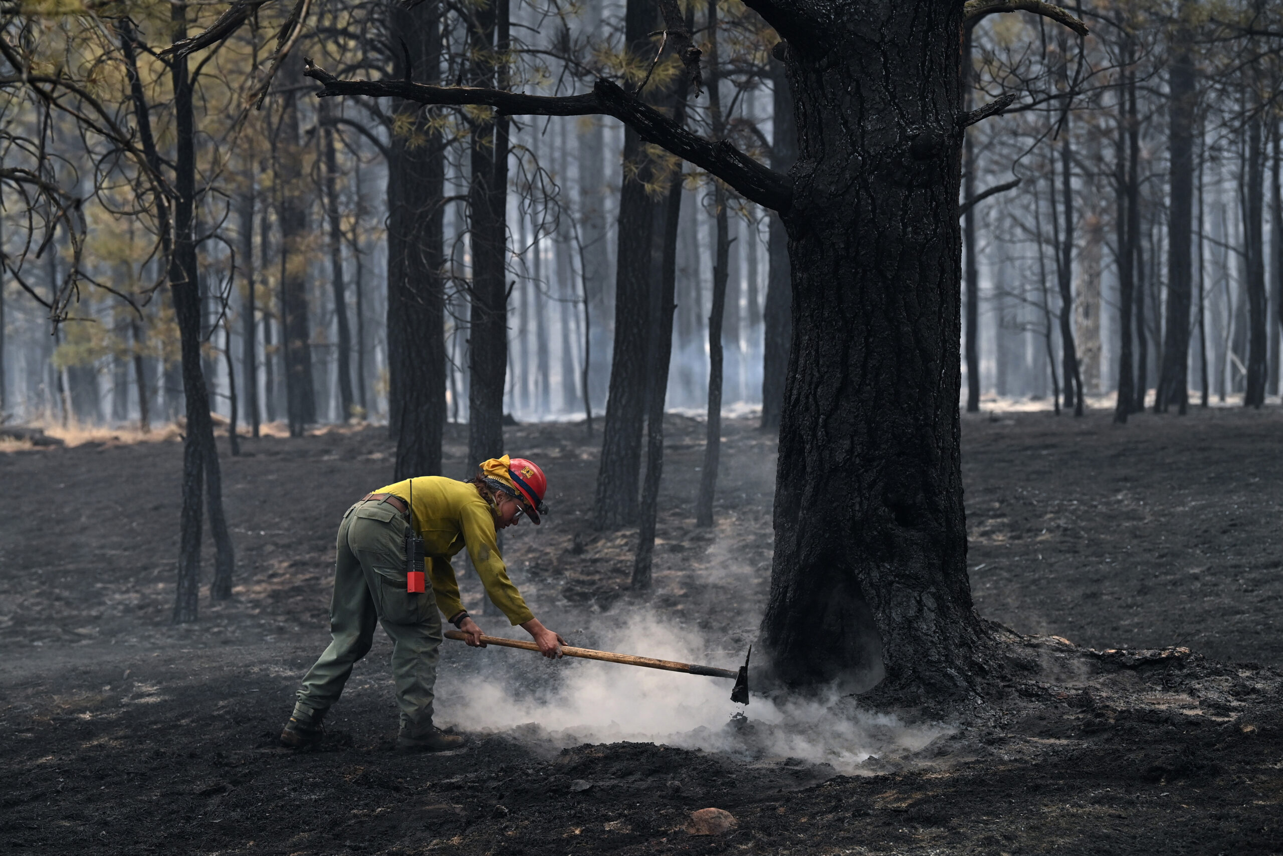 How Do Fire Fighters Put Out Wildfires on the Ground